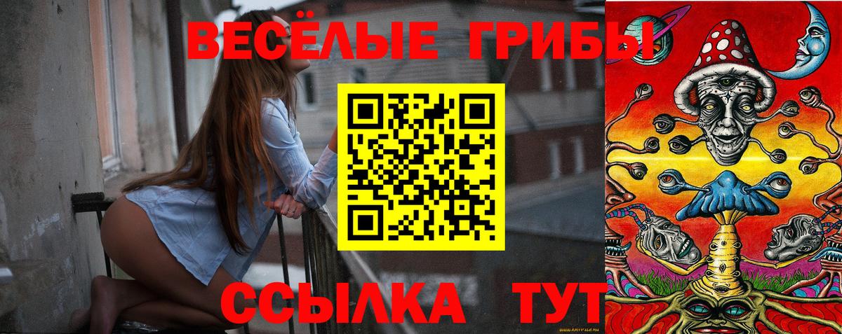 Псилоцибиновые грибы Psilocybe Надым