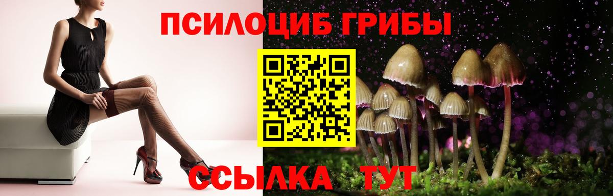 Надым  Псилоцибиновые грибы GOLDEN TEACHER  где купить наркотик  Вход с VPN  Псилоцибиновые грибы Cubensis 
